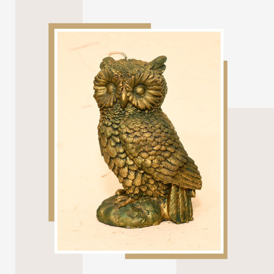 Owls